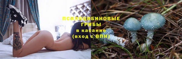 ешки Вязники