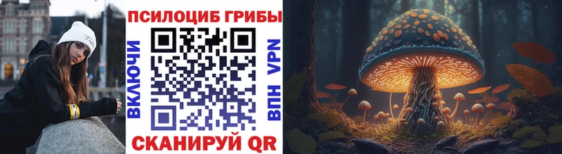 Псилоцибиновые грибы Psilocybe  Москва 