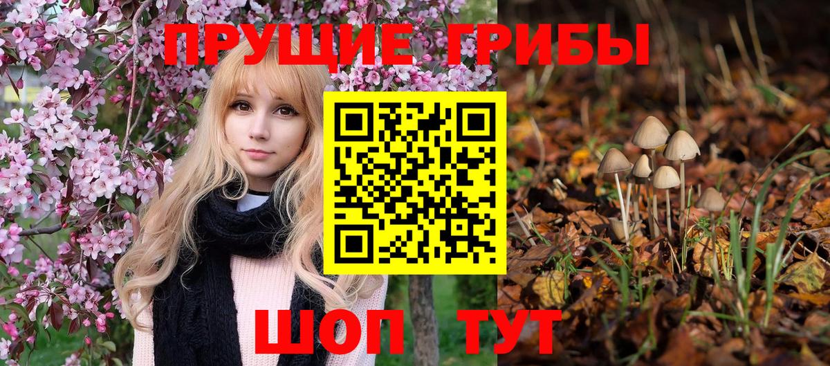 Псилоцибиновые грибы Magic Shrooms  Вход с VPN  Москва  купить наркотики цена  Псилоцибиновые грибы Cubensis 